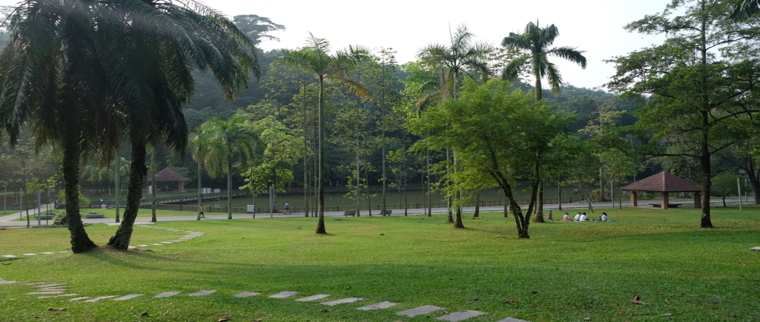 taman tun dr ismail park